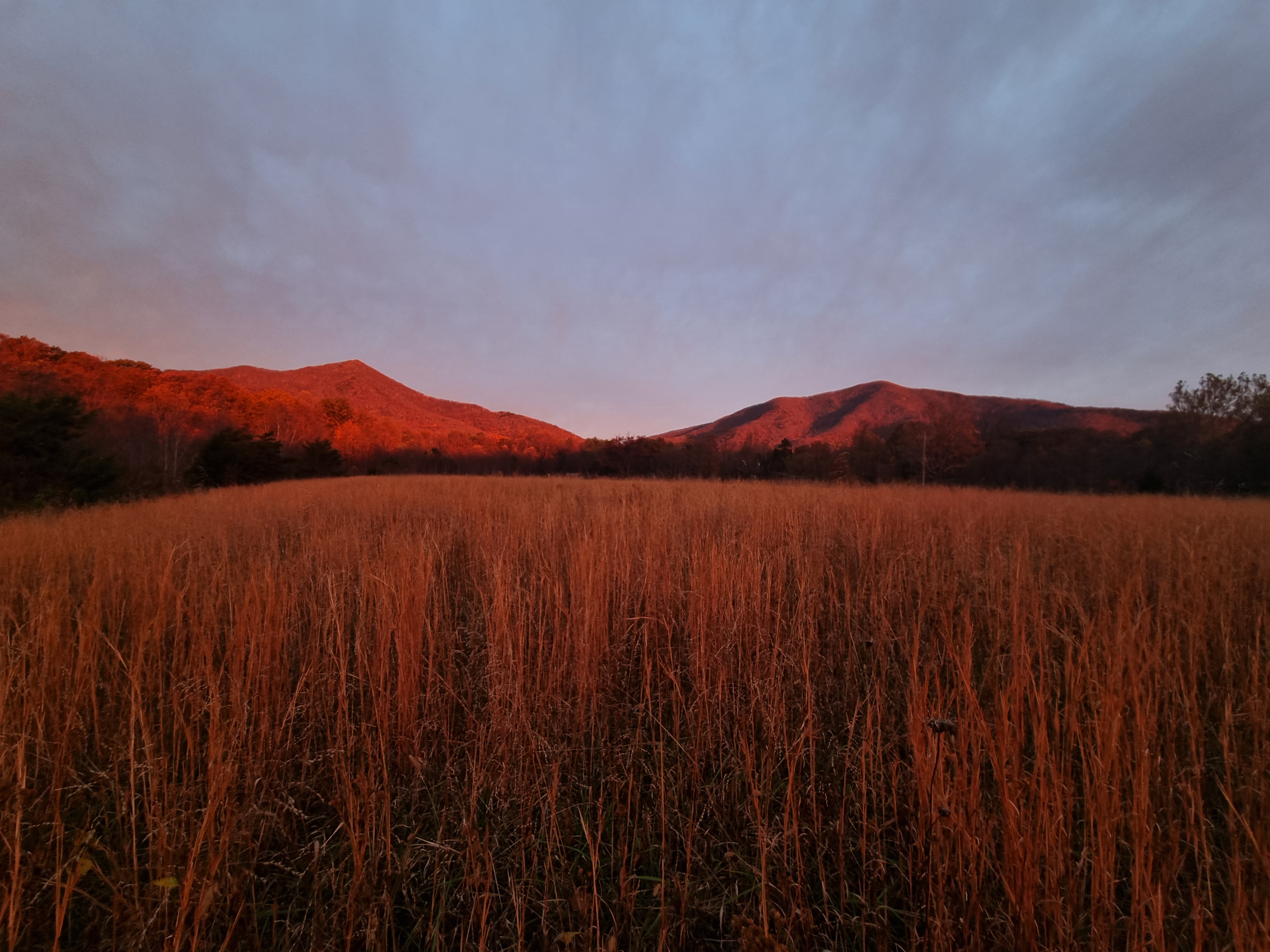 Grounded in Ground Mounds