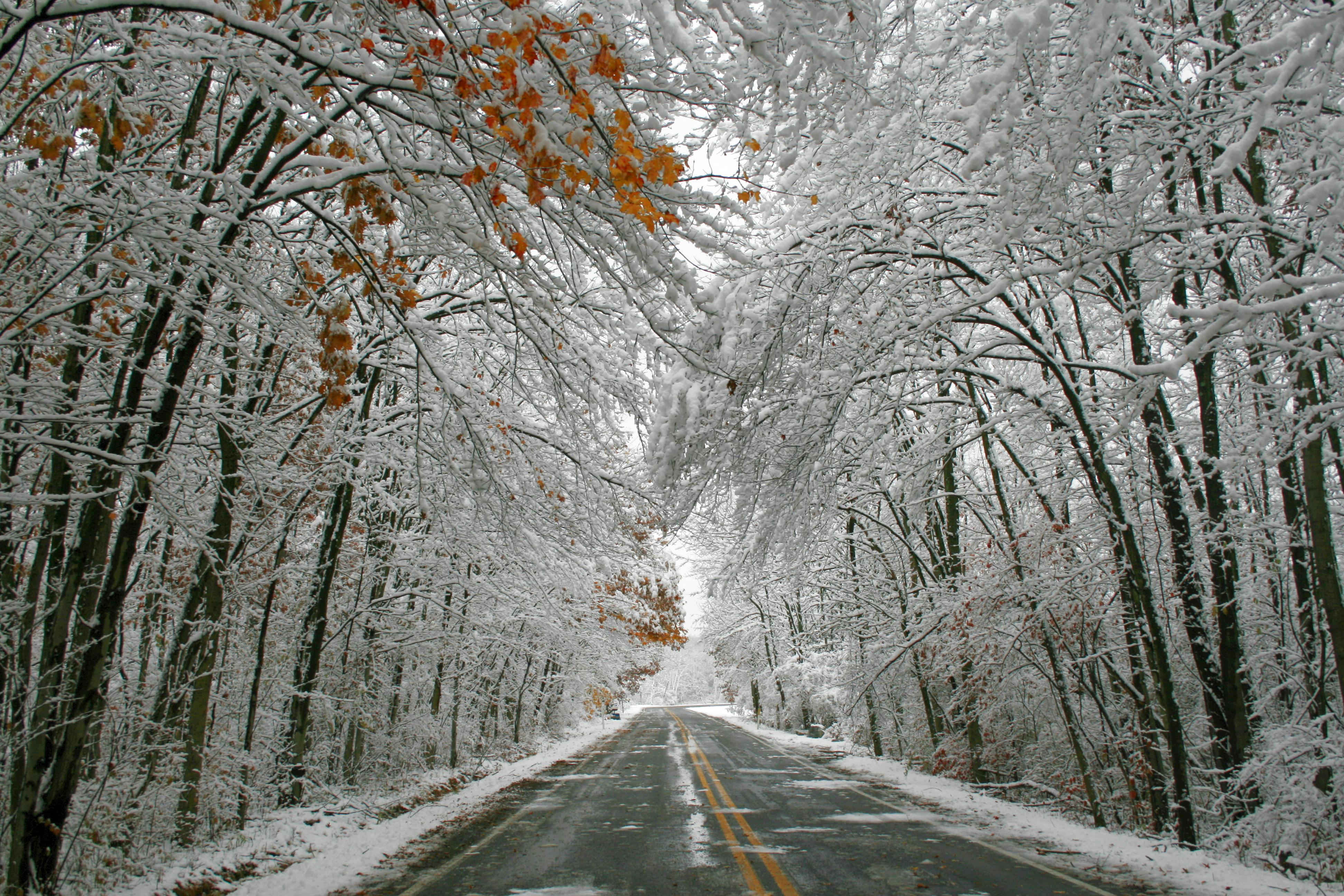 Reflections on 2024 (Pt. 3/3): A Poem